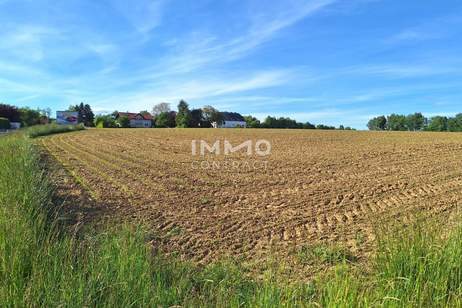 Betriebsgrund in Bergland mit 6.587 m² - Stadtrand Wieselburg - guter Lage, Grund und Boden-kauf, 460.000,€, 3250 Scheibbs