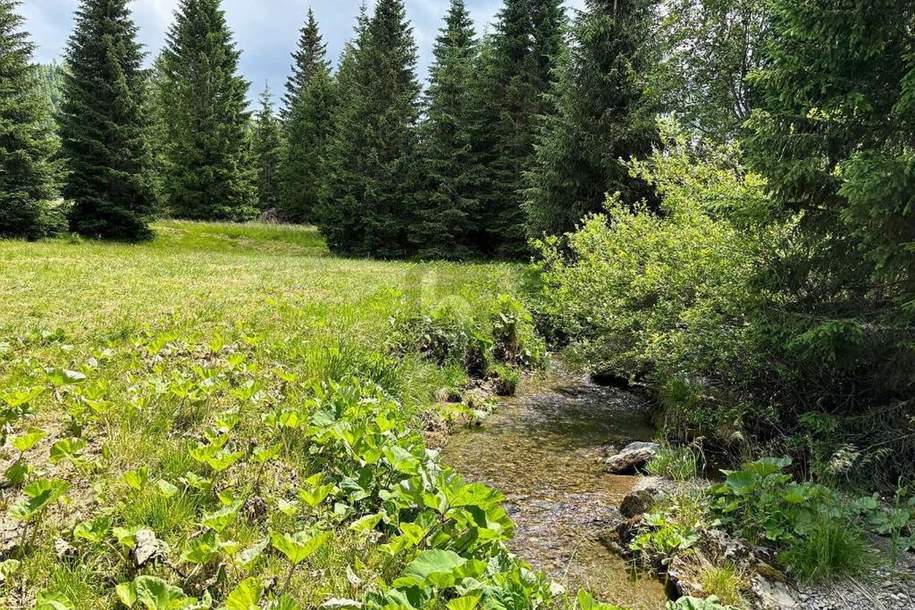 FERN VON DER HEKTIK AUF DER FLATTNITZ, Grund und Boden-kauf, 9346 Sankt Veit an der Glan