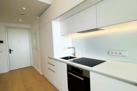 Erstbezug!!! Studio-Apartment inkl. Doorman, Gym, Sauna, Pool, Bar, Eventlounge, Wohnung-miete, 1.800,00,€, 1220 Wien 22., Donaustadt