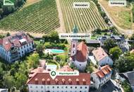 Kompakte Wohnung in begehrter Weinberglage - ideal zum Vermieten _ Exklusive Eigentumswohnungen im historischen „Freihof“. - WOHNTRAUM