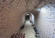 Weinviertler Juwel - Gepflegtes Presshaus mit historischem Weinkeller &amp; Gartenidylle