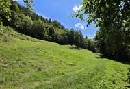 Bauland (ca. 8.700 m²) in herrlicher Panoramalage zu kaufen in Stattegg!