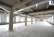 LOFT-BÜROS IM FABIANI-HAUS