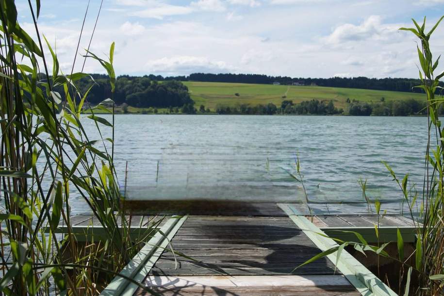 Seltene Gelegenheit: Idyllisches Seegrundstück direkt am Obertrumer See, Grund und Boden-kauf, 5163 Salzburg-Umgebung
