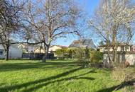 "großzügiges Baugrundstück direkt im Ortskern"