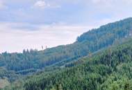 155 Hektar Forst- und Jagdrevier im Bezirk Wolfsberg