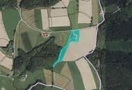 Alleinlage: Seminarhof-Wohnen-Tierhaltung