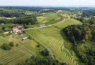 IN SLOWENIEN - Weingut in der berühmten Weinbauregion JERUZALEM