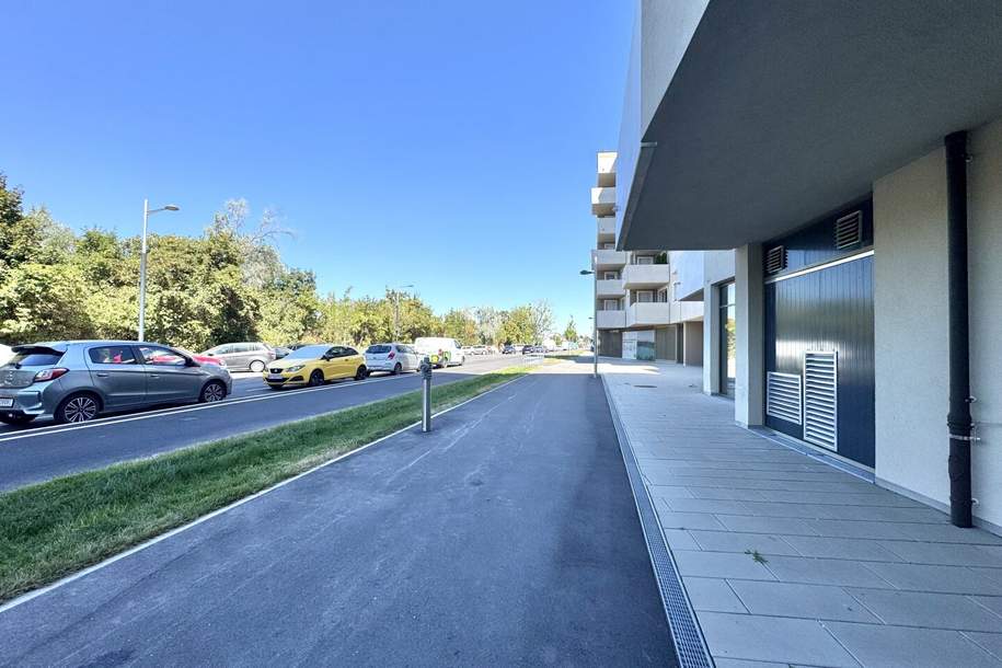 Leo am Teich - Wohnen am Badeteich Hirschstetten, Gewerbeobjekt-miete, 5.481,61,€, 1220 Wien 22., Donaustadt