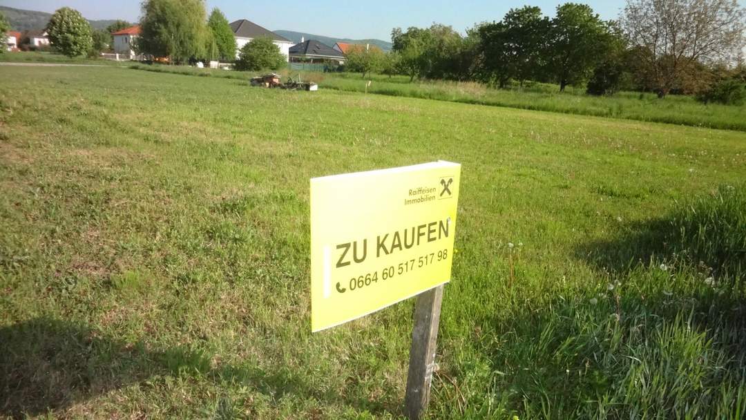 Kleines Baugrundstück am Stadtrand in Purbach !