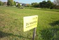 Kleines Baugrundstück am Stadtrand in Purbach !