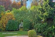 Wo Luxus auf Natur trifft - Villa mit Seele und Stil - Top Grazer Wohngegend!