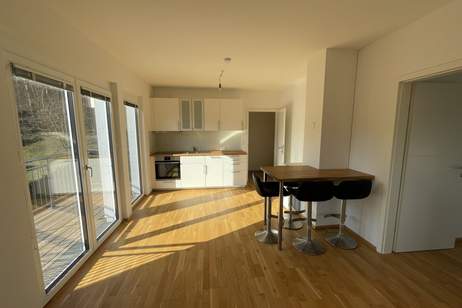 HIER MÜSSEN SIE SCHNELL SEIN! Tolle 2 Zimmerwohnung + Balkon inkl. PKW-Stellplatz in Mödling!, Wohnung-miete, 765,84,€, 2340 Mödling