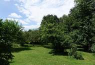 2 Häuser, idyllischer Garten mit Quelle, Brunnen, schöner Innenhof und Garage!