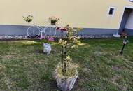 HAUS IN STOITZENDORF SUCHT DICH