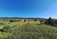 Aufleben in den Weinbergen | Exklusive Erstbezugswohnungen in der Thermenregion