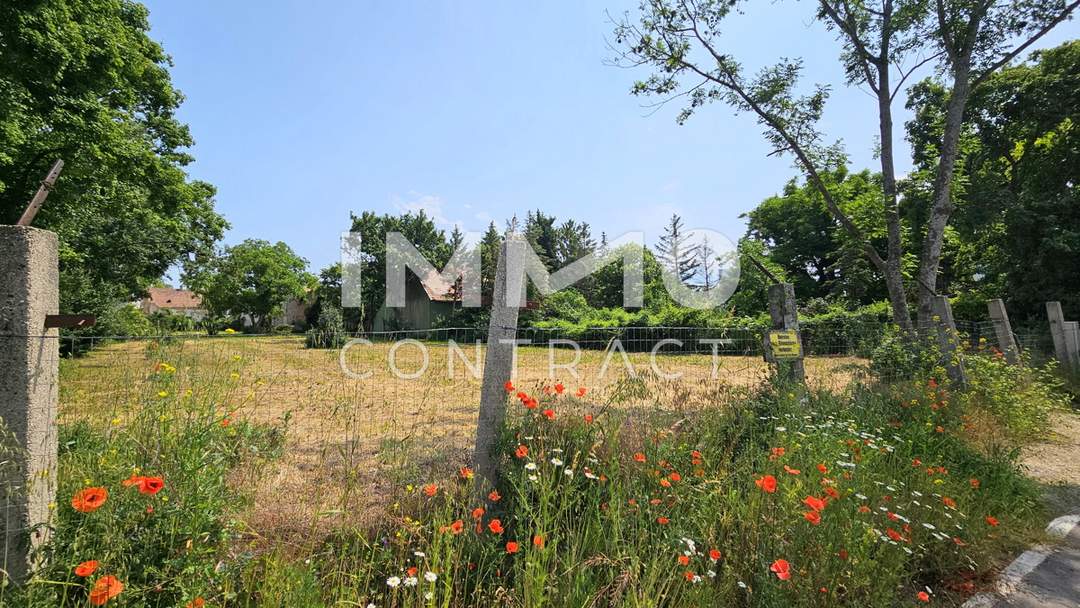 Grüne Ruhelage und doch zentral - Grundstück in bester Lage zu kaufen