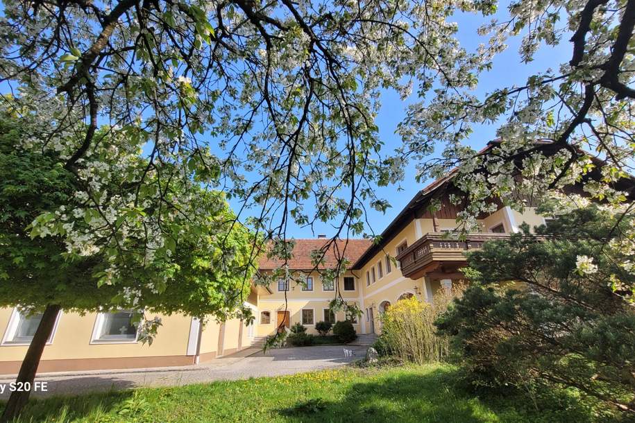 Dreiseithof -Mehrgenerationenhaus, Haus-kauf, 1.499.000,€, 4490 Linz-Land