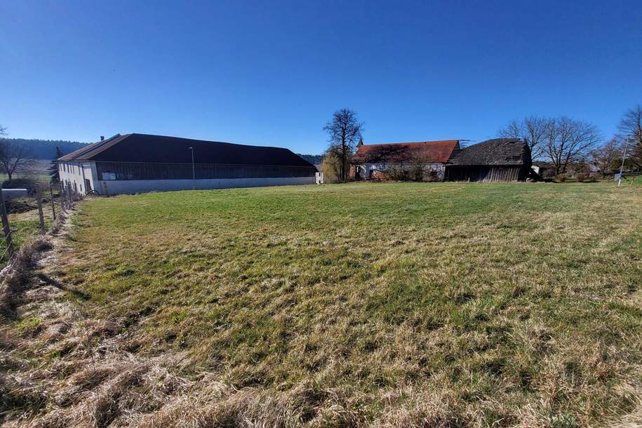 NEUER PREIS!!! SONNIGER BAUGRUND NÄHE HÜRM, Grund und Boden-kauf, 45.000,€, 3383 Melk