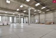 Halle, Lager, Hochregallager inkl. Rampe- 1270 m2 in Wr. Neudorf