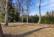 Erstbezug nach Renovierung (EG) und 26.849 m² Land (Tierhaltung erlaubt) !