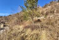 Sonniges Baugrundstück in Kapfenberg in erhöhter Lage - provisionsfrei für die Käufer!