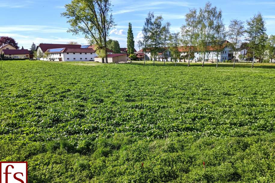 IDYLLISCH gelegener BAUGRUND nahe Ortszentrum – auch für BAUTRÄGER, Grund und Boden-kauf, 74.000,€, 4712 Grieskirchen