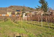 Villenbaugrund (1.335m²) in der Langenzersdorfer Kellergasse am Fuße des Bisambergs