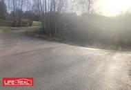 Am Wald grenzendes Baugrundstück