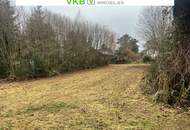 7050 m² gewidmete Baugrundstücke in Spattendorf – nahe Gallneukirchen