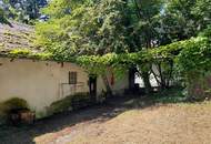 Großzügiges Baugrundstück mit Abbruchhaus und Grünlandanteil Nähe Purkersdorf