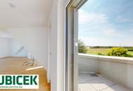 Mit dem Penthouse - Lift heimfahren ...