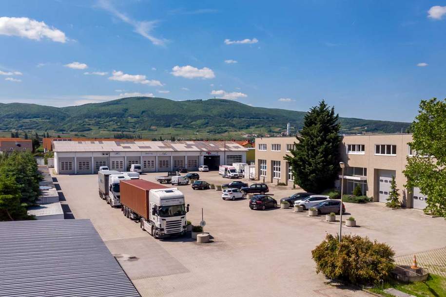 Top Lager- & Büroflächen im Businesspark 99 zu mieten!, Gewerbeobjekt-miete, 6,70,€, 2514 Baden