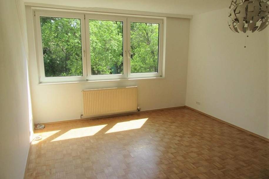 "Einfach zum Wohlfühlen!", Wohnung-miete, 910,00,€, 2344 Mödling