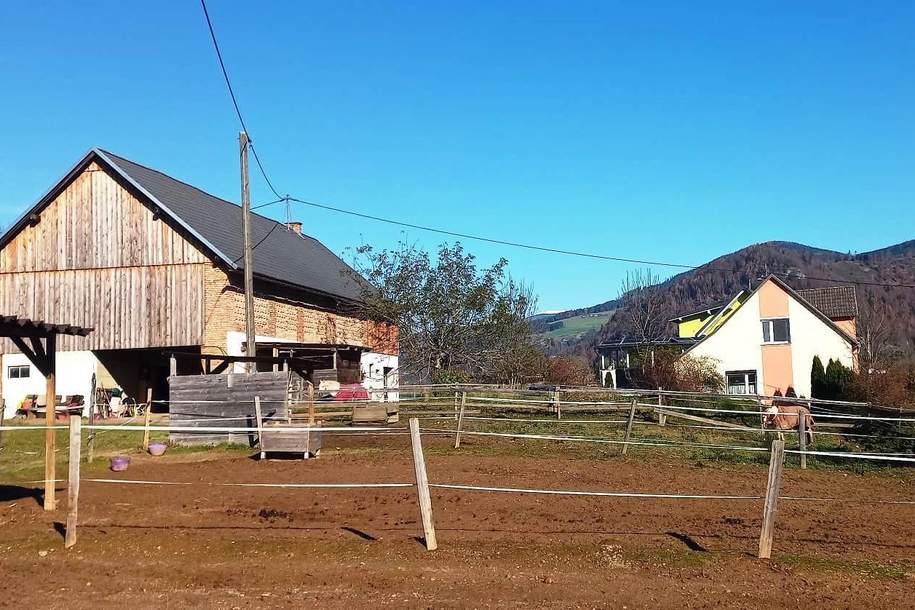 Landwirtschaft ca. 3,3 ha, mit Hofstelle, Haus-kauf, 459.000,€, 9371 Sankt Veit an der Glan