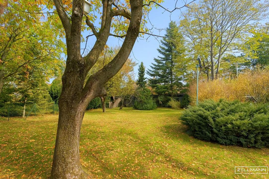 Ein Ort zum Wohlfühlen – für Familien, Träume und Gartenfreuden | ZELLMANN IMMOBILIEN