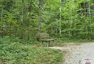 Landwirtschaftlicher Betrieb - Acker und Wald!