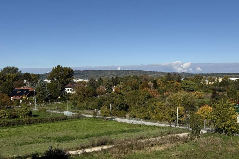 Hirschfeld: große, provisionsfreie und neue 5 Zimmer Wohnung mit Balkon - Preis jetzt sichern, Wohnung-kauf, 594.000,€, 1210 Wien 21., Floridsdorf