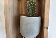 SCHÖNER WOHNEN hat eine neue Adresse IN GRATKORN!