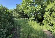 AUFGESCHLOSSEN - SONNIGES, EBENES ECKGRUNDSTÜCK MIT ALTBAUMBESTAND