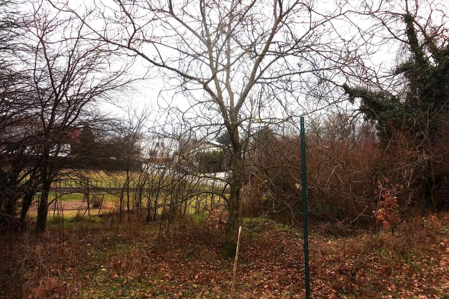 Verbuschtes Baugrundstück in Hanglage ohne Bauzwang !, Grund und Boden-kauf, 120.000,€, 7051 Eisenstadt-Umgebung