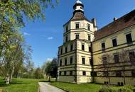 Prunkvolles Schloß mit Park und Schloßteich