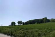 Exklusive Einfamilienhäuser in Hintersdorf: Luxus und Natur im Einklang - Haus 1