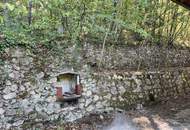 Wienerwald-Idylle mit traumhaftem Ausblick – Haus mit großem Potenzial