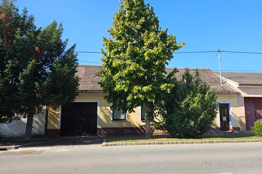 Liebhaberobjekt - Arkadenhof mit Stadel!, Haus-kauf, 124.000,€, 2136 Mistelbach