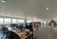 Hochwertige Gewerbefläche mit 15 Parkplätzen in 2326 Maria Lanzendorf – Industriestraße: ab sofort verfügbar!