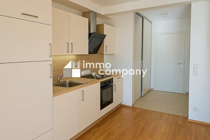 Ausblick und Balkon? Nachmieter für 1-Zimmer-Wohnung in Bruck/Leitha gesucht!, Wohnung-miete, 619,00,€, 2460 Bruck an der Leitha