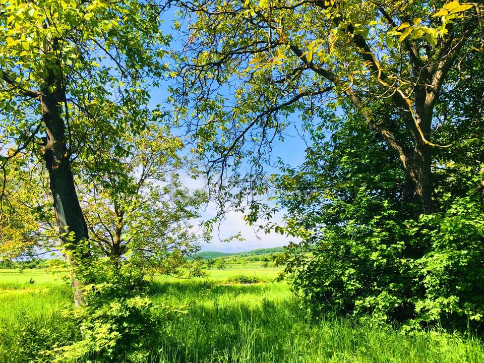 Baugrund 2 in Höhenlage am Naturschutzgebiet