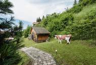 Moderne Anlegerwohnung mit Terrasse und Balkon in traumhafter Berglage auf der Koralpe