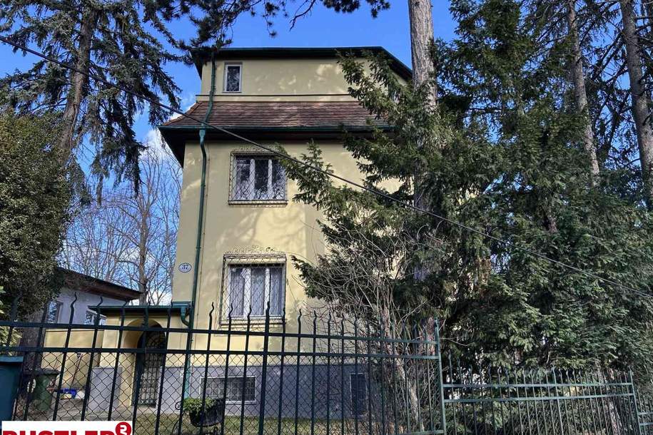 Alt Wiener-Villa in attraktiver Lage des 19.Bezirks, Haus-kauf, 1190 Wien 19., Döbling